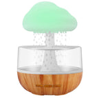 Rain Cloud Humidifier & Diffuser