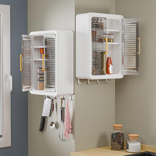 Wall Mounted Storage Cabinet