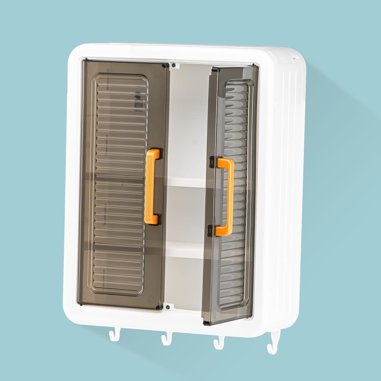 Wall Mounted Storage Cabinet
