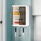 Wall Mounted Storage Cabinet